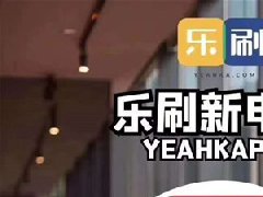 樂刷是正規牌照嗎？